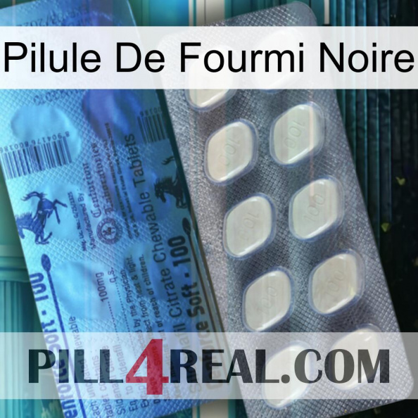 Black Ant Pill 34